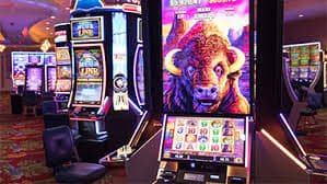 livescore088 Risk selector